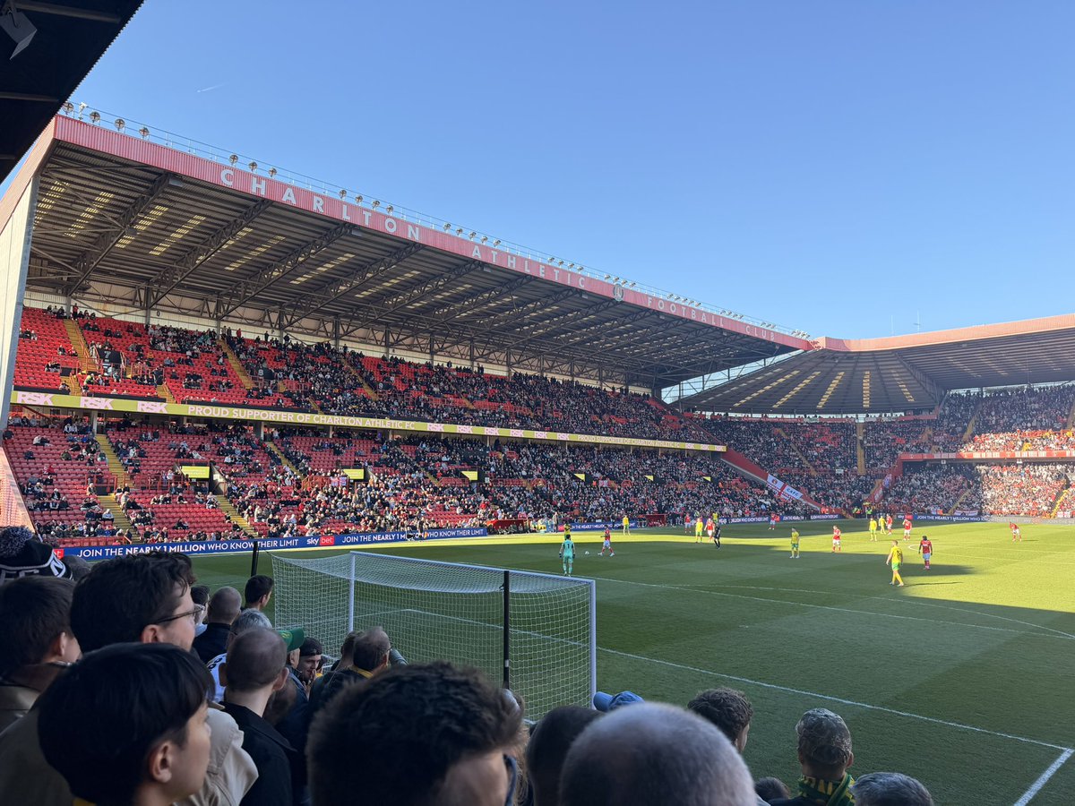 Harry Brister tweet media