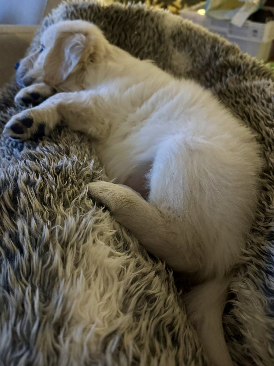 Sari Kontio tweet media