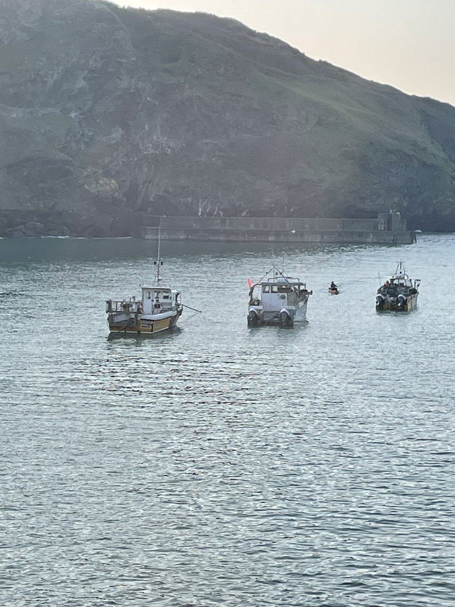 Sandra Thompson-Drew tweet media