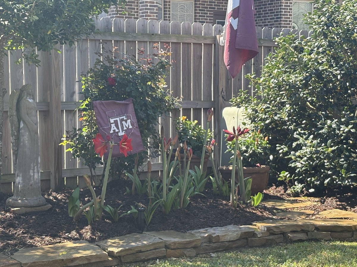 Debbie VanPelt tweet media