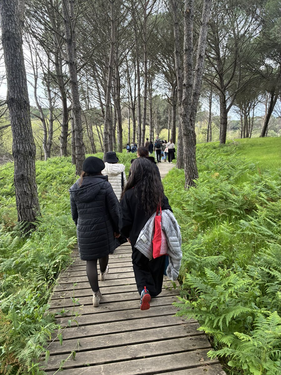 Bego Márquez García tweet media