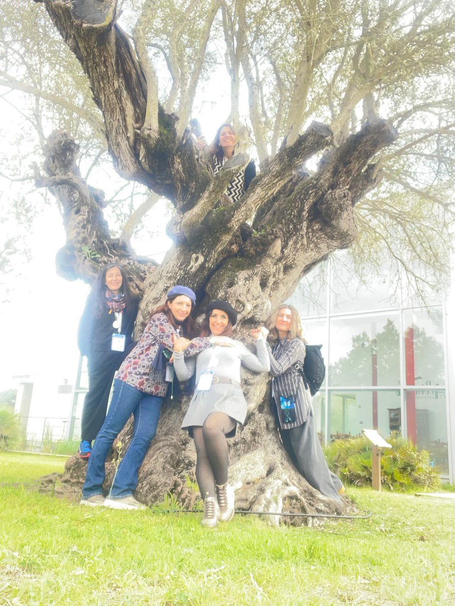 Bego Márquez García tweet media