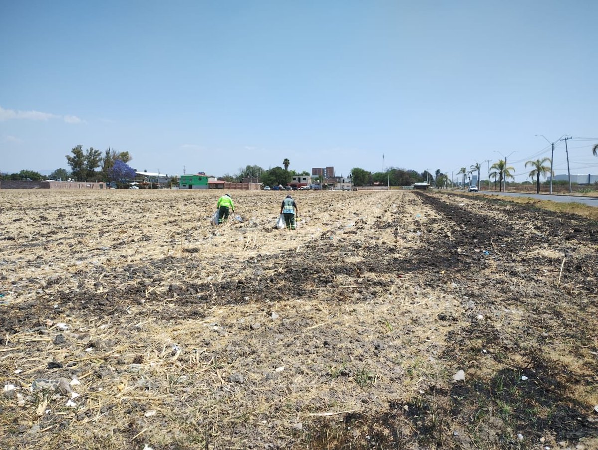 SIAP León tweet media