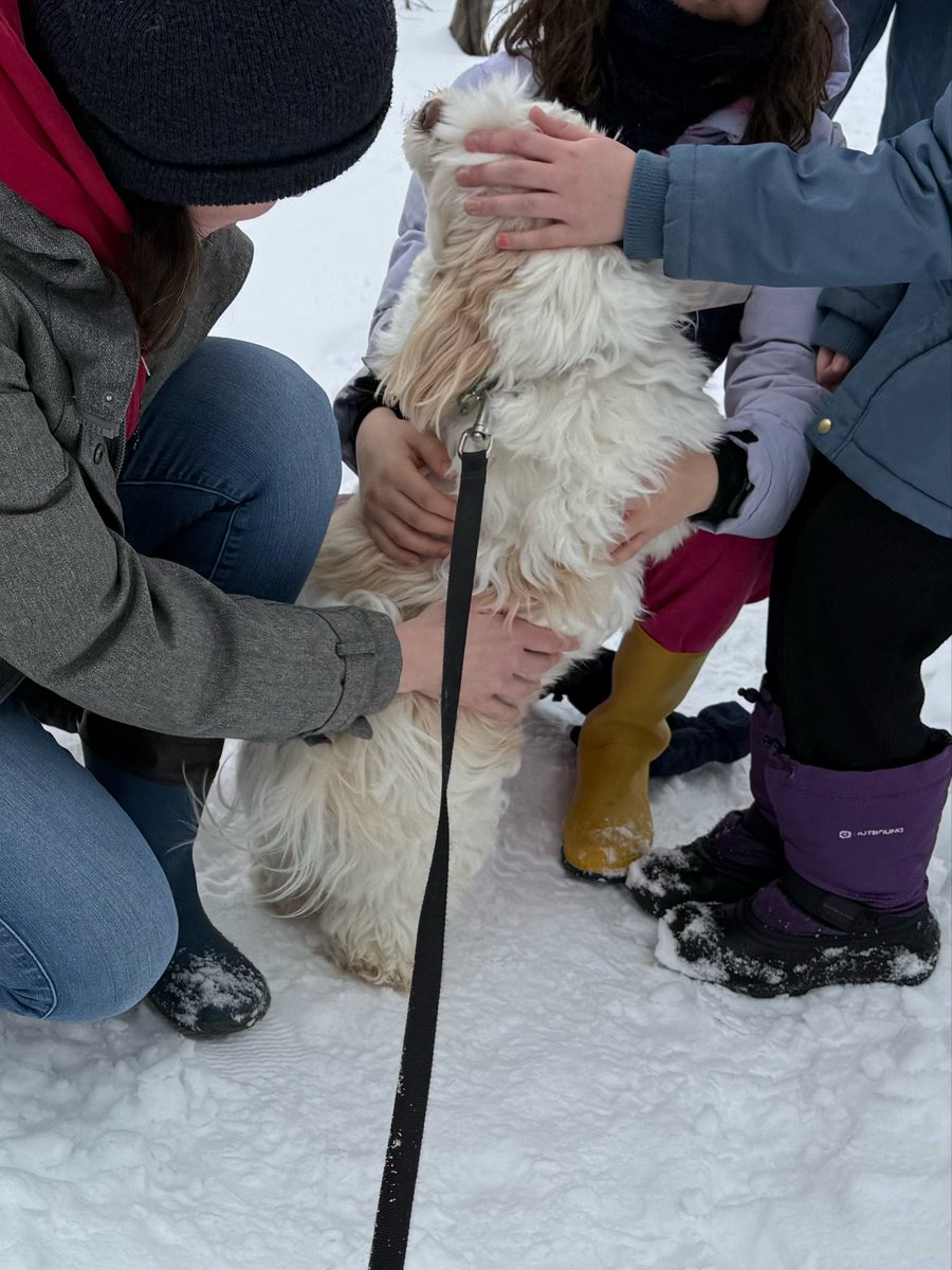 jtherapydog's tweet image. New friends! ❤️🥰
#WeekendFun #DogLovers