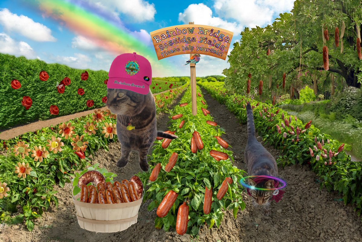 Willow & 🌈Rosie (Mrs Bear) tweet media