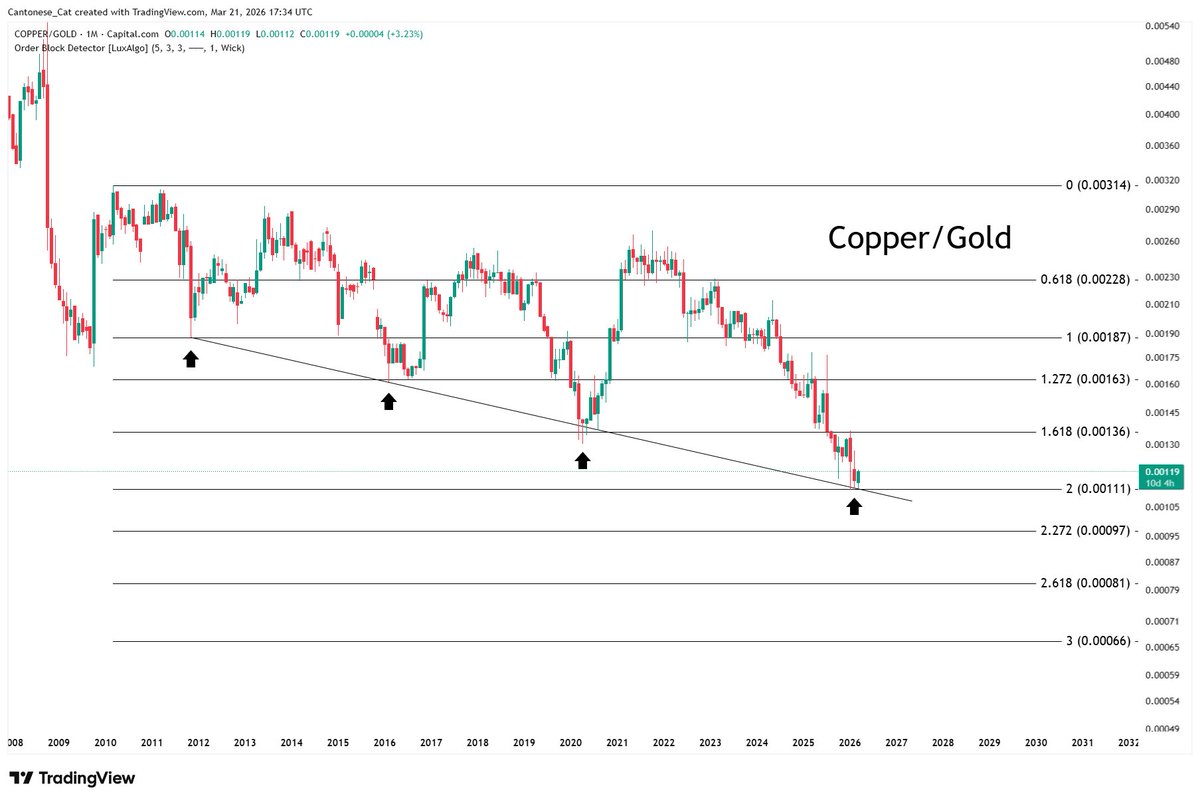 Cantonese Cat 🐱🐈 tweet media