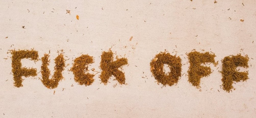 A heartfelt message from Austin to Oak Pollen aka Tree Jizz...