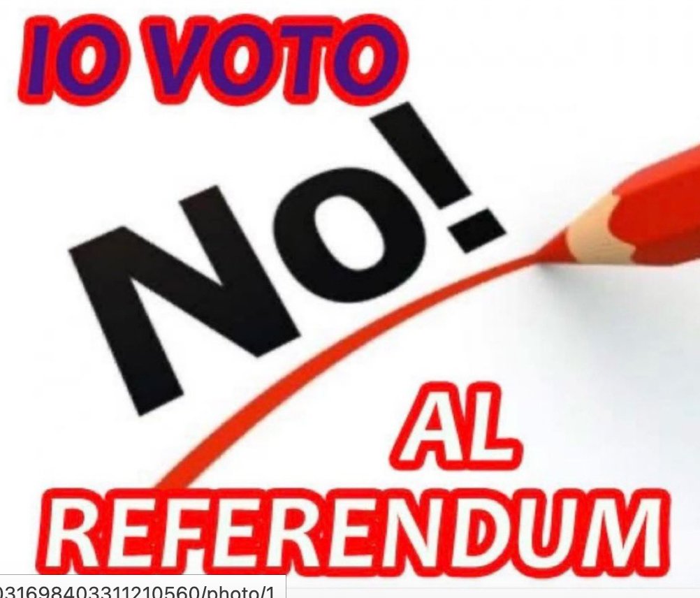 annapaola23 tweet media