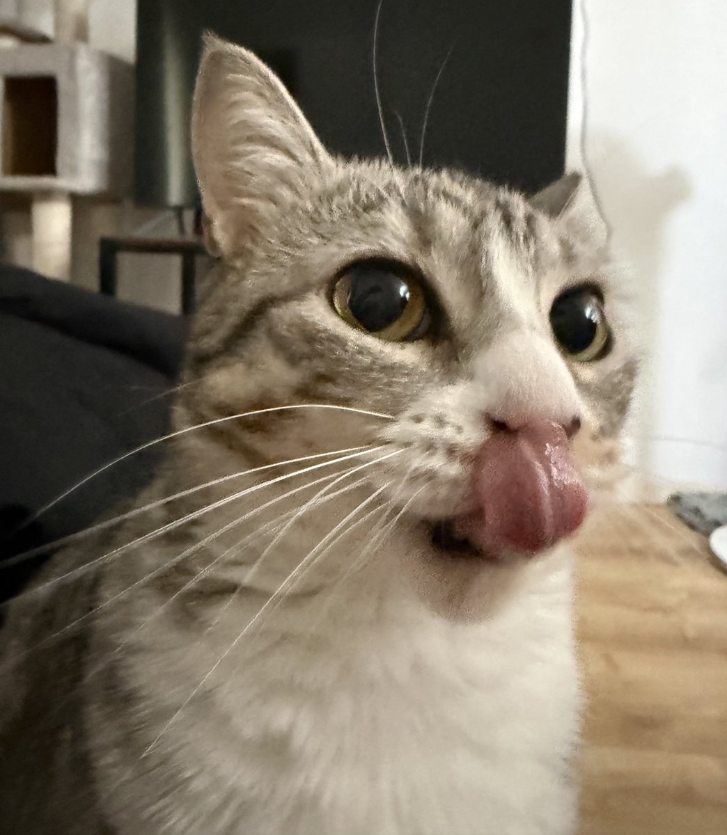 Mai Noboshi 🔮☠️ tweet media