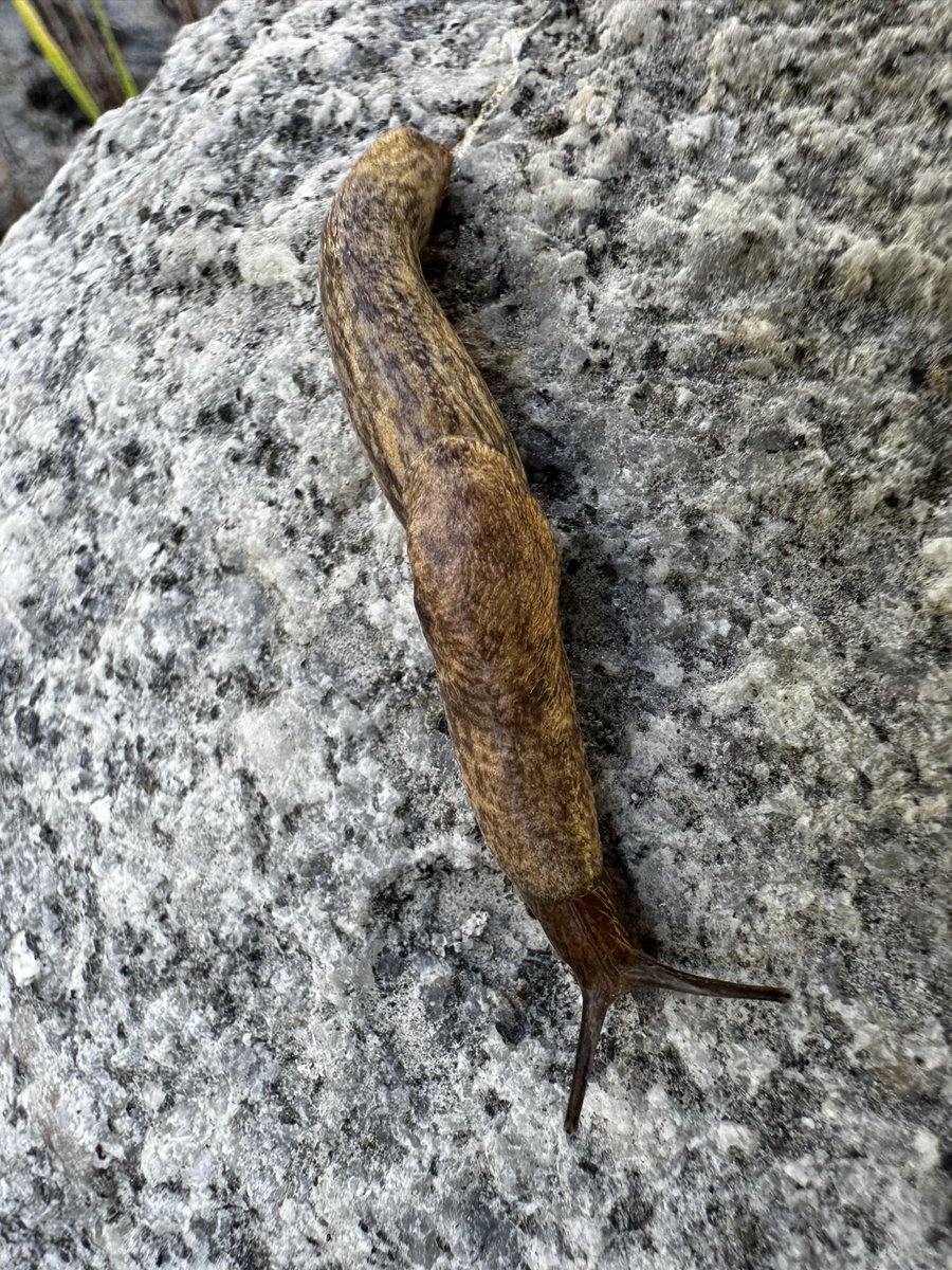 caiterpillar𓆑 tweet media