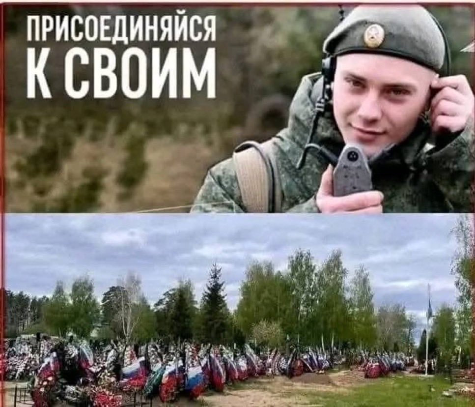 El Caballero de la Triste Figura tweet media