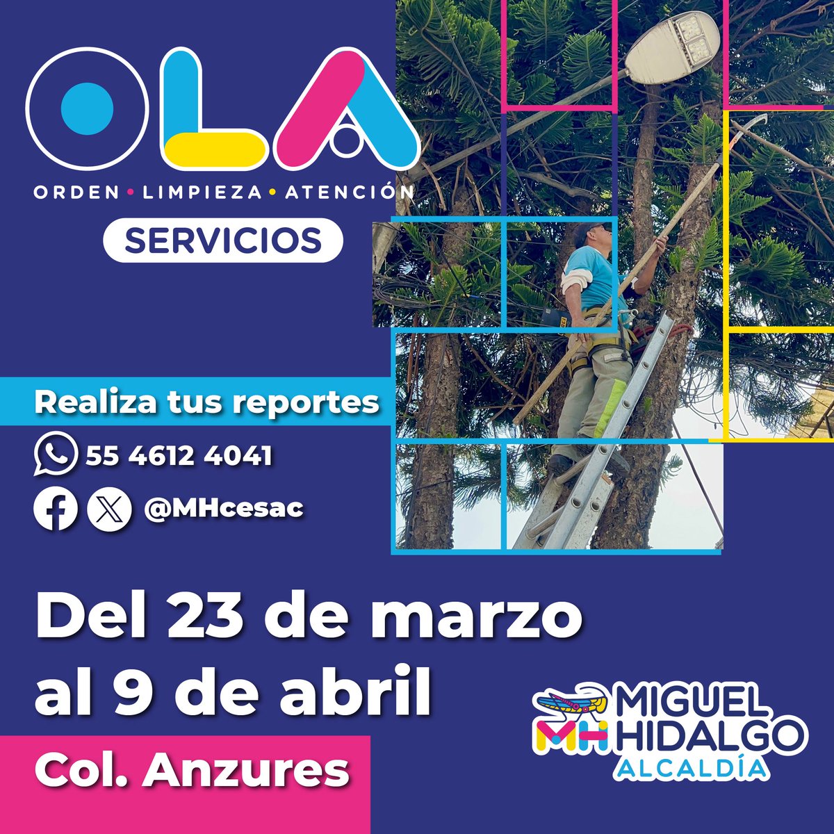 Alcaldía Miguel Hidalgo tweet media