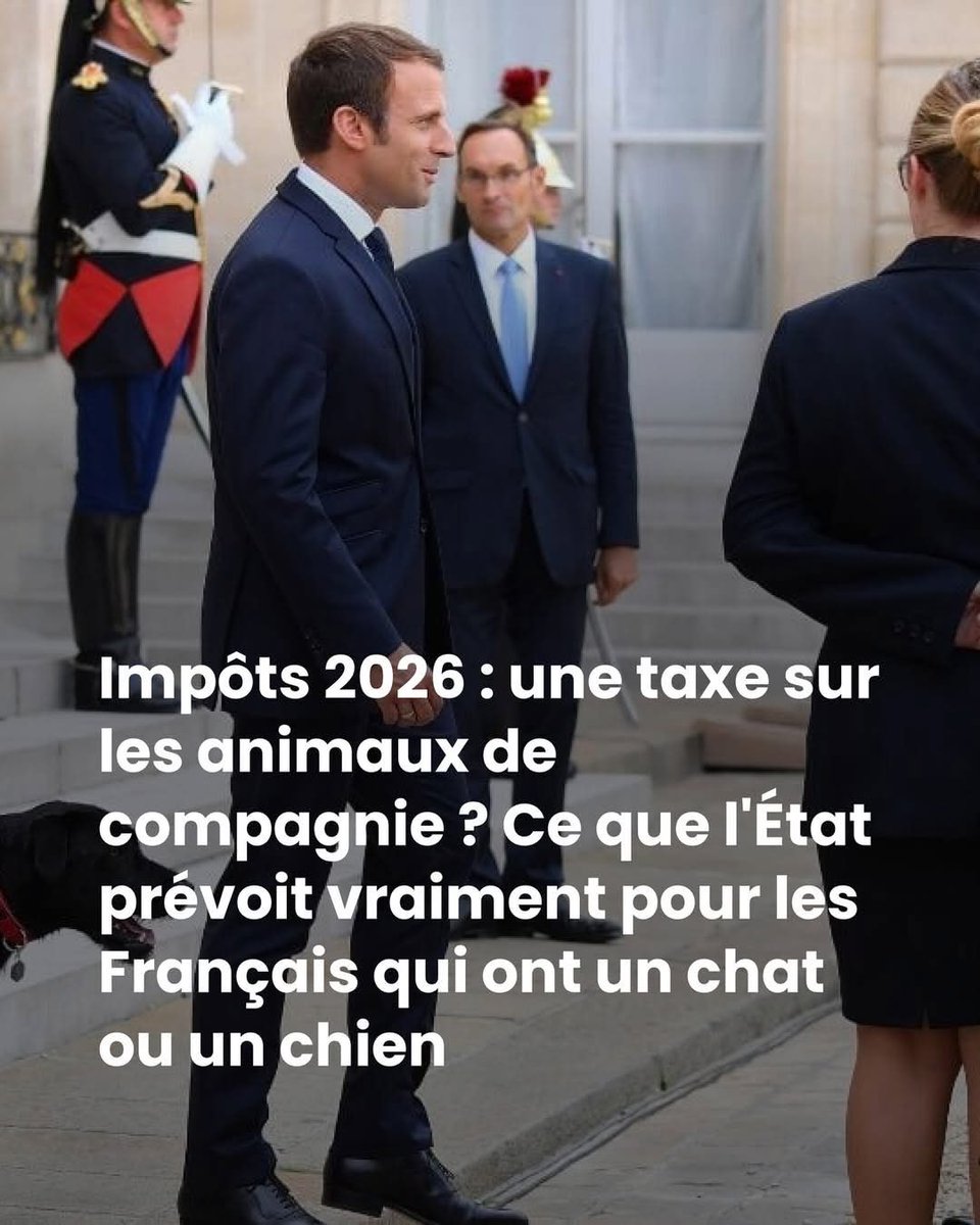 🇫🇷 MissPeel 🇫🇷 tweet media