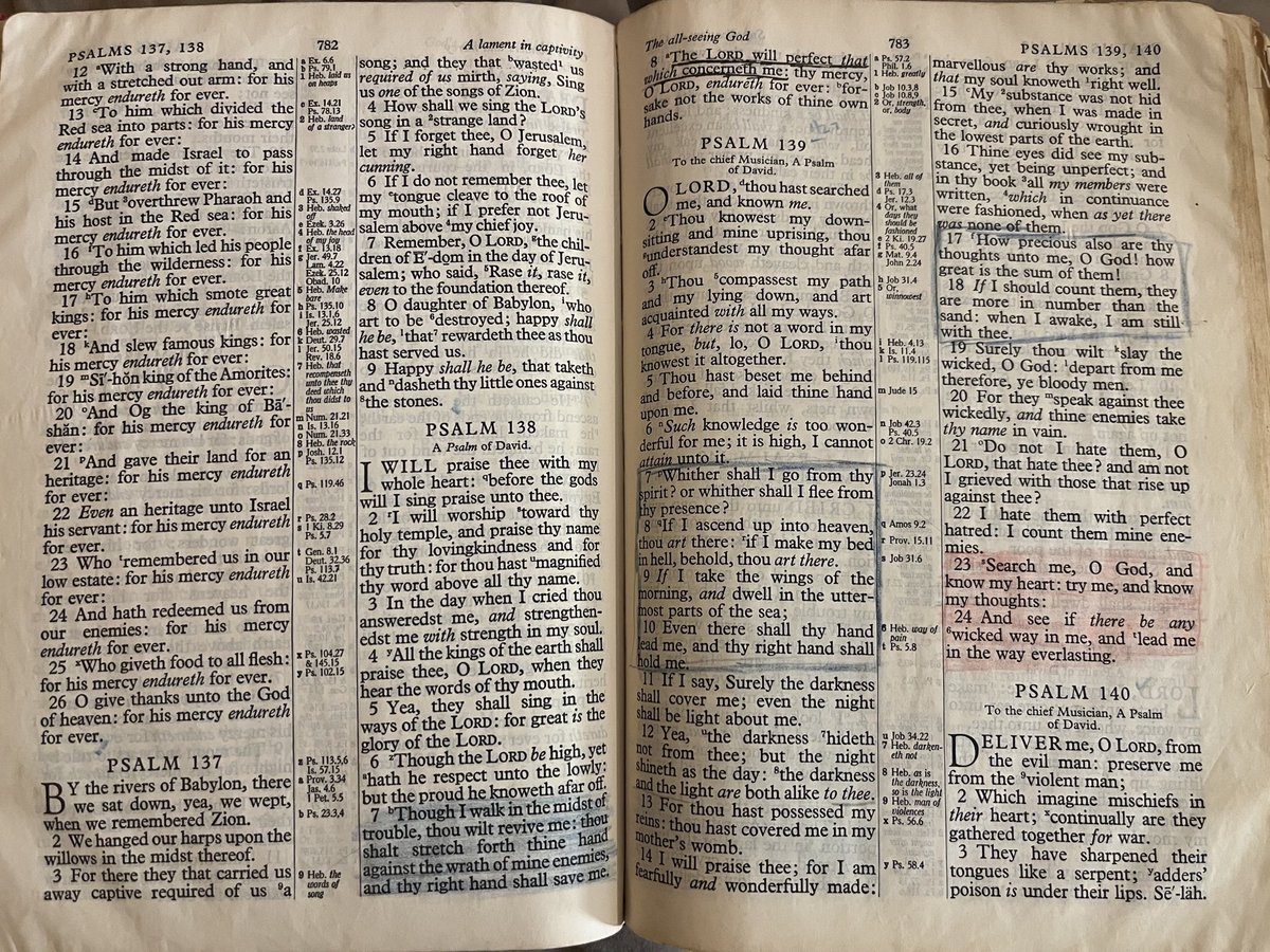 Kentucky Girl tweet media