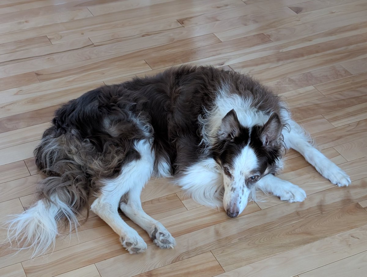 Andrew Leach 🇨🇦 tweet media