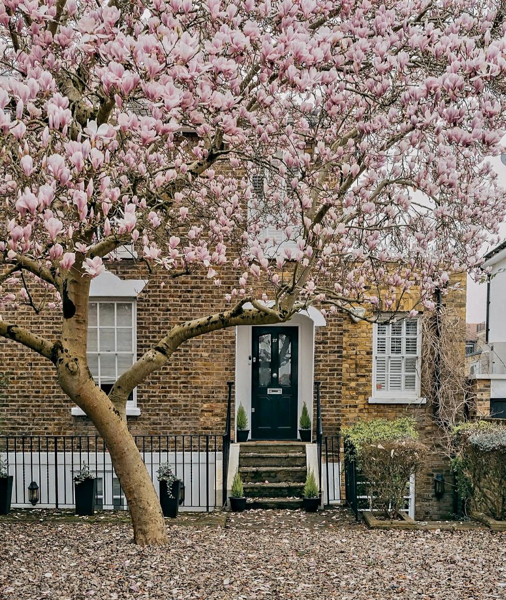 English Cottages tweet media