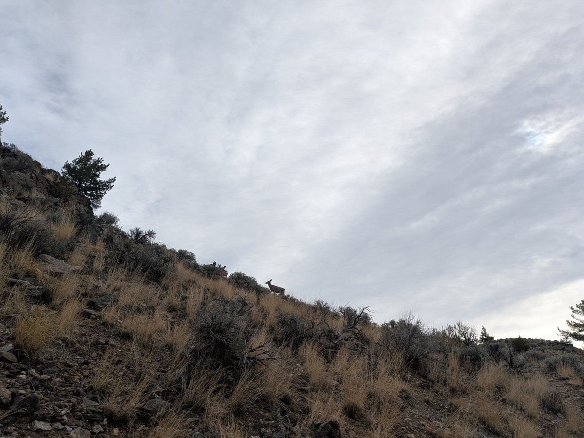 Heather Thomas tweet media