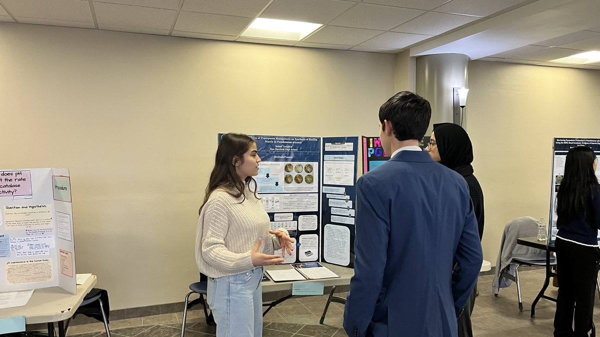 Hava Turkakin tweet media