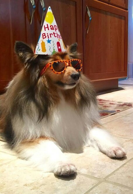 Graph🐶👉🐮 tweet media