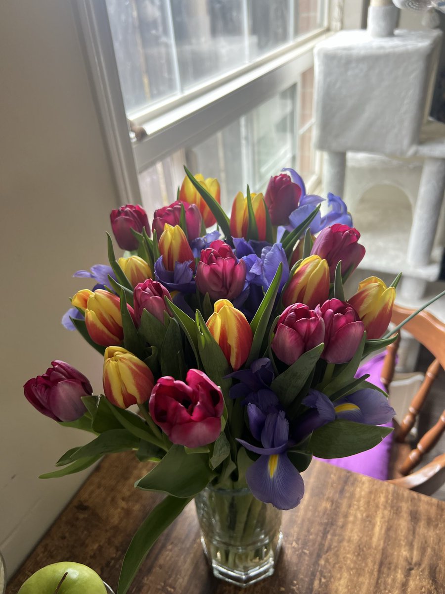 شَمسی مادام tweet media