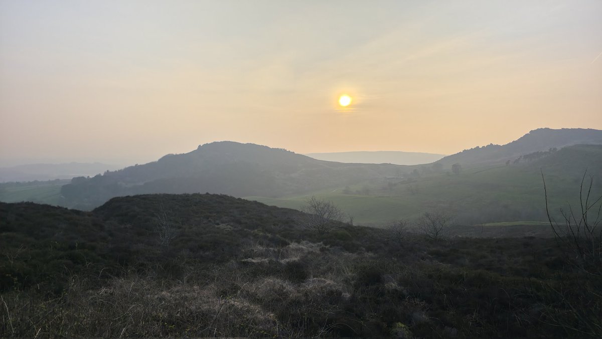 Alex Moore tweet media