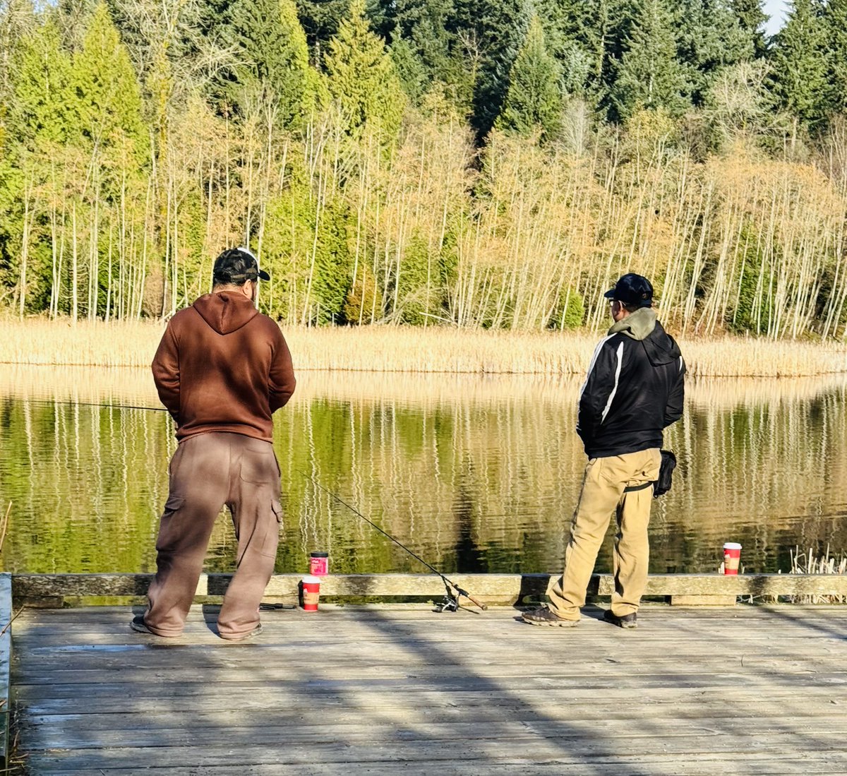 Manimugdha Sharma tweet media