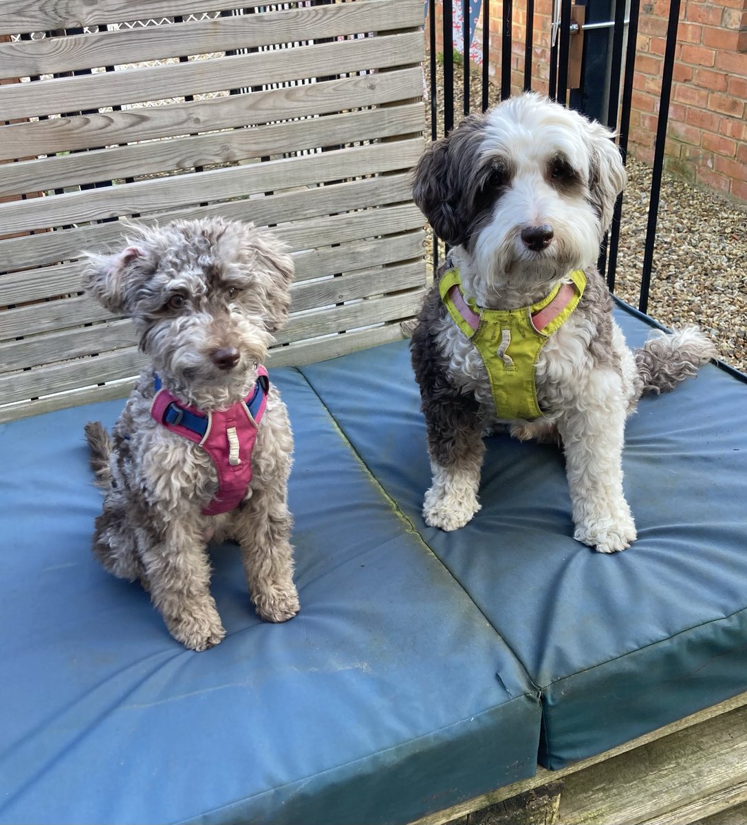 Hazel Lambert 💙 tweet media