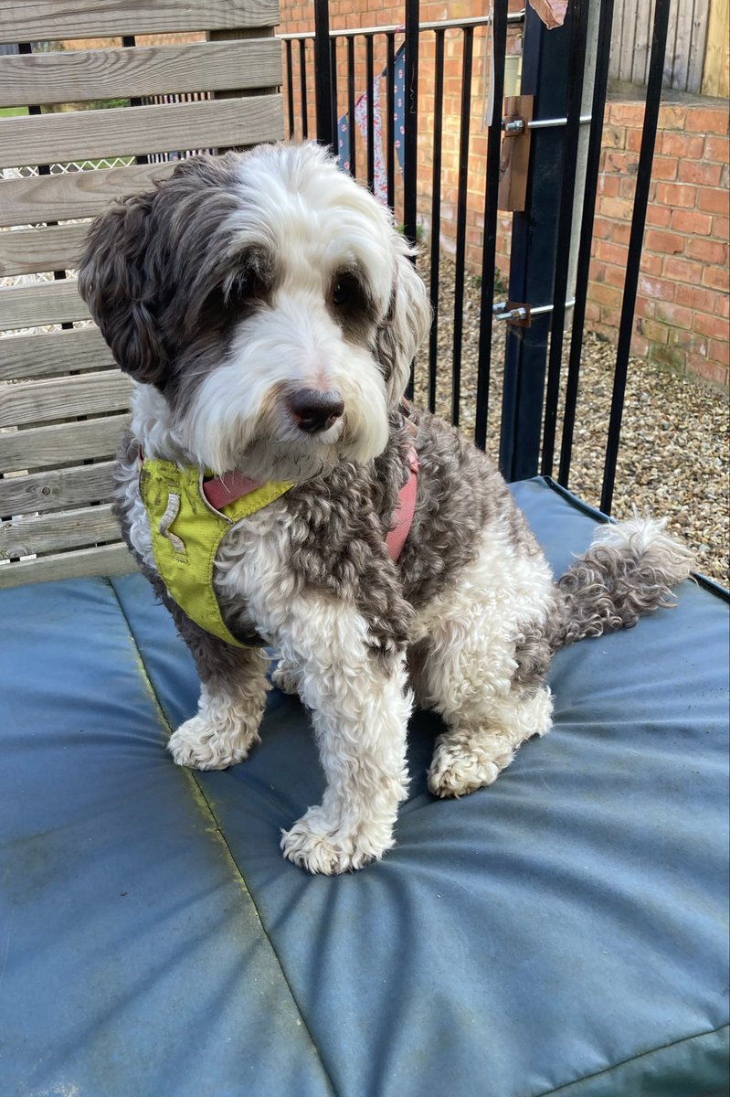 Hazel Lambert 💙 tweet media