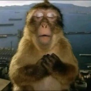 Palo 🧚🏻♀️ tweet media