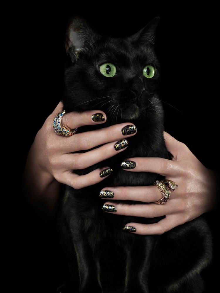 Octobrgrl's tweet photo. Happy #Caturday https://t.co/76229iRm4m