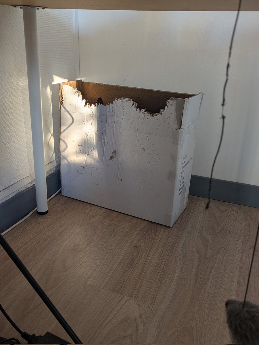 Bertrand tweet media