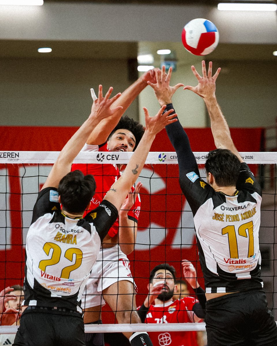 SLBenfica Modalidades tweet media