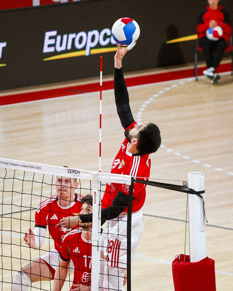 SLBenfica Modalidades tweet media