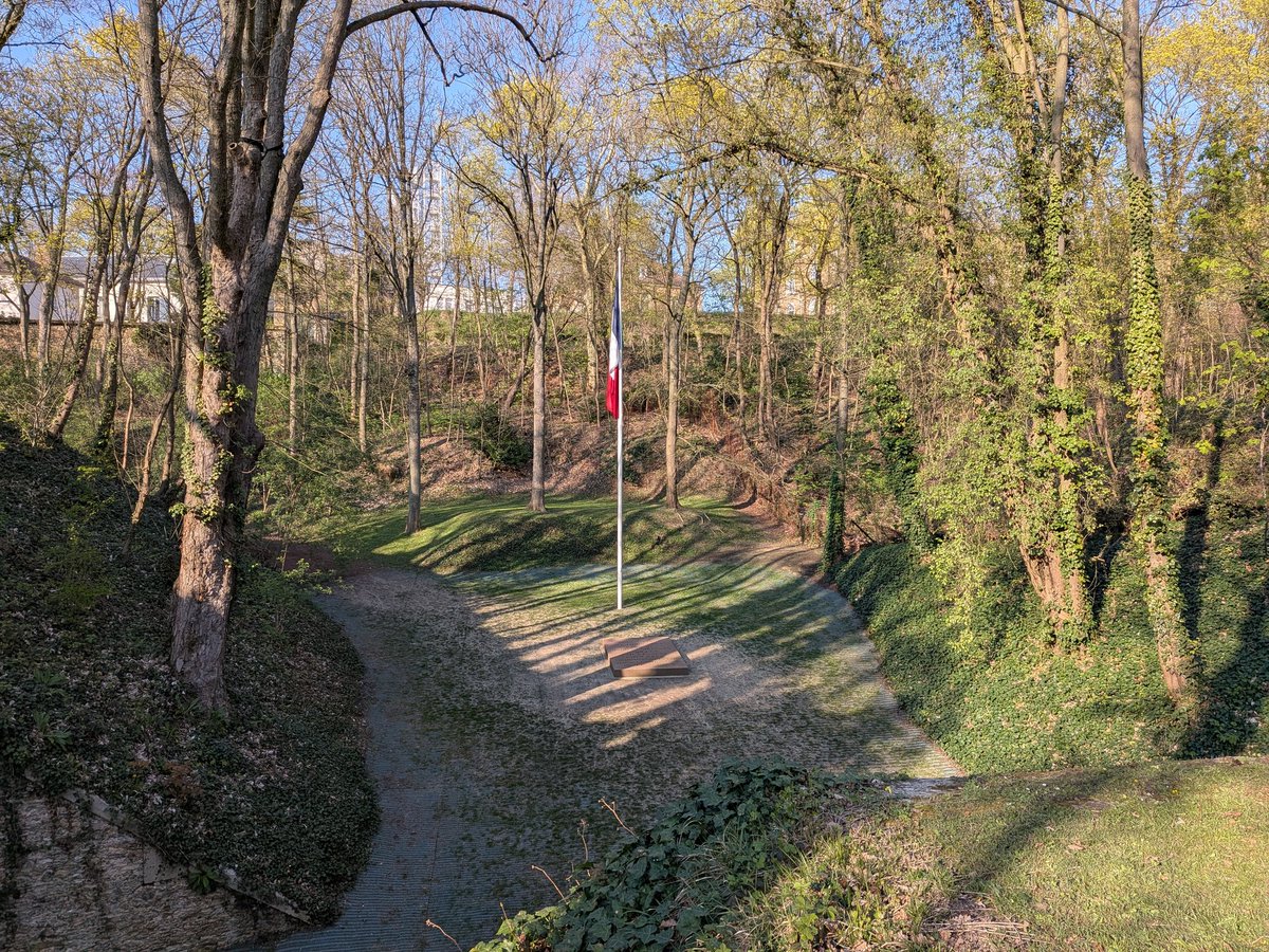 Hammerteeth57 tweet media