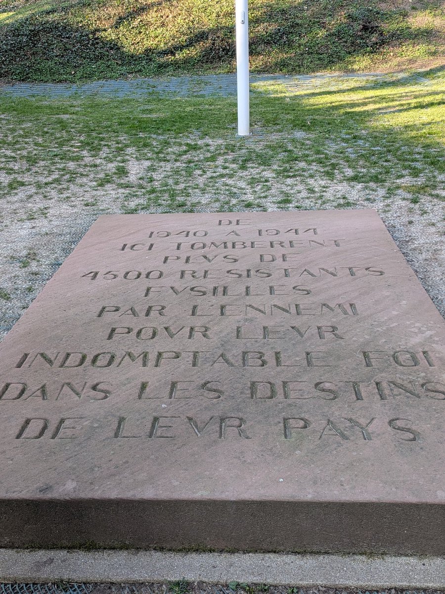 Hammerteeth57 tweet media