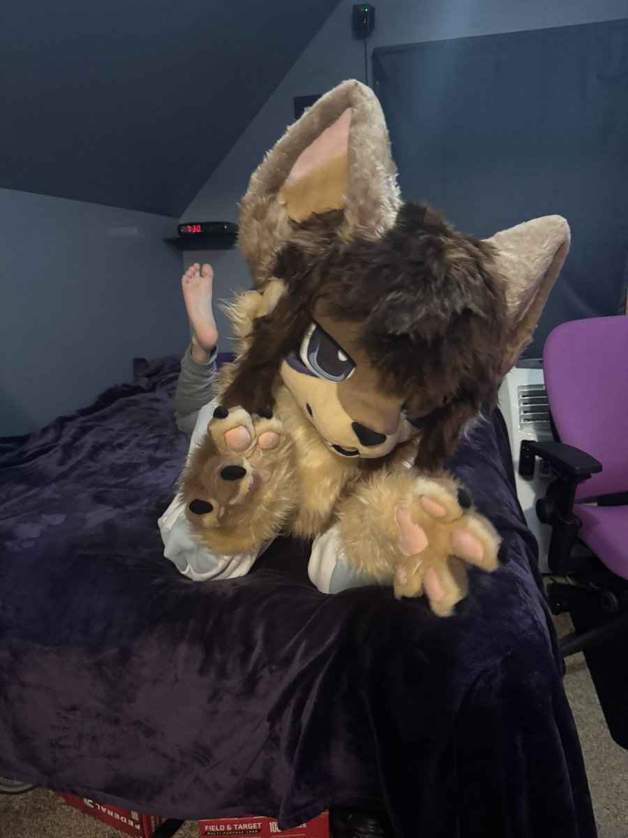 numo🔜FWA tweet media