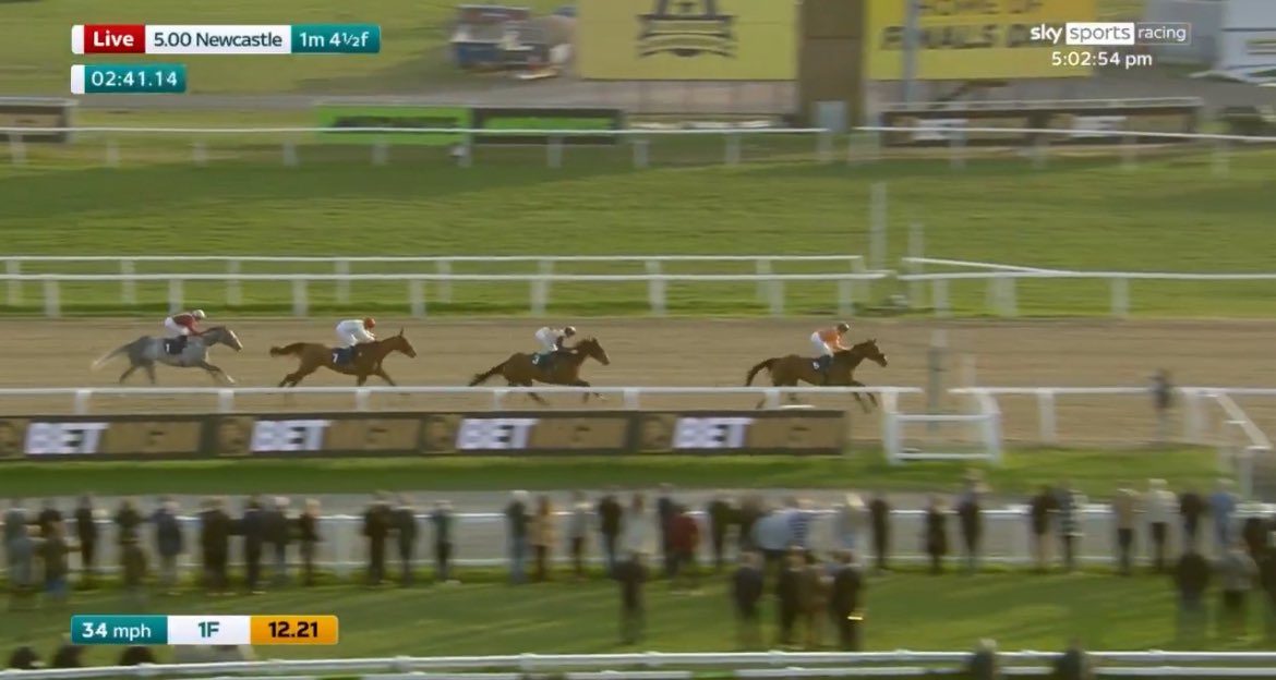 Max Racing Tips tweet media