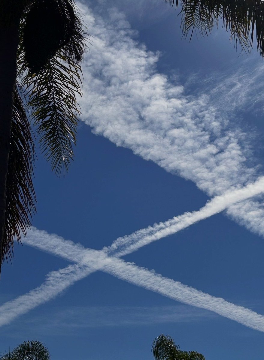 Apokaluptein tweet media