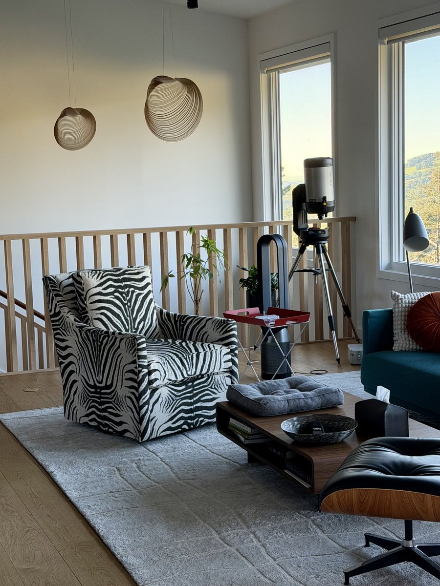 The Girl with the Mozart Tattoo tweet media