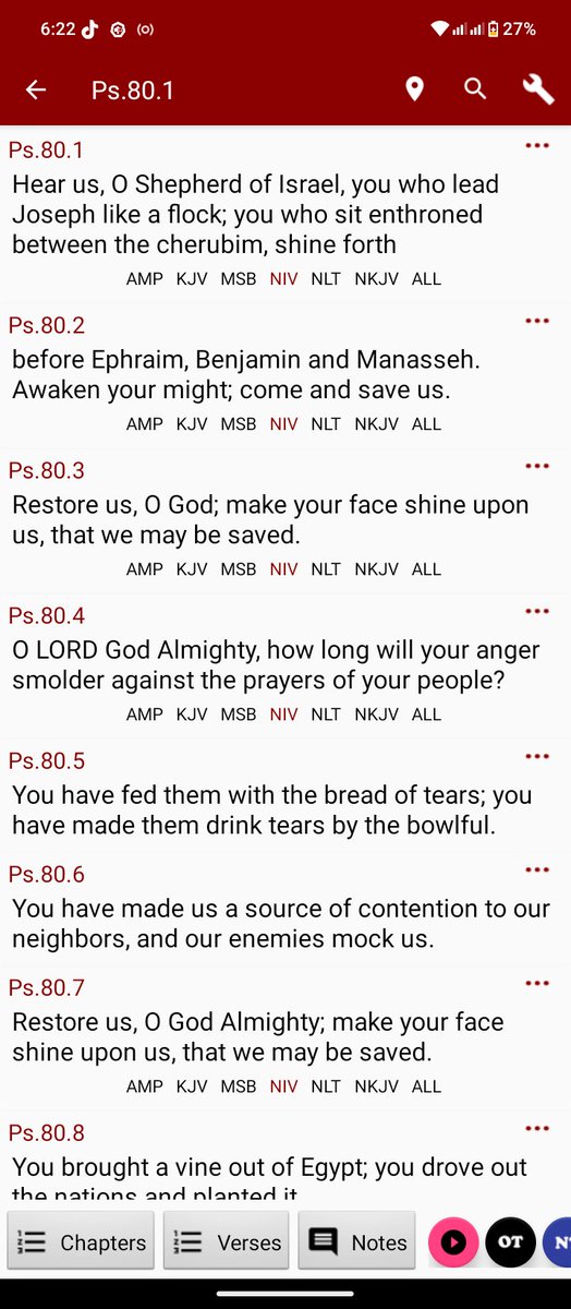 Alpha Queen tweet media