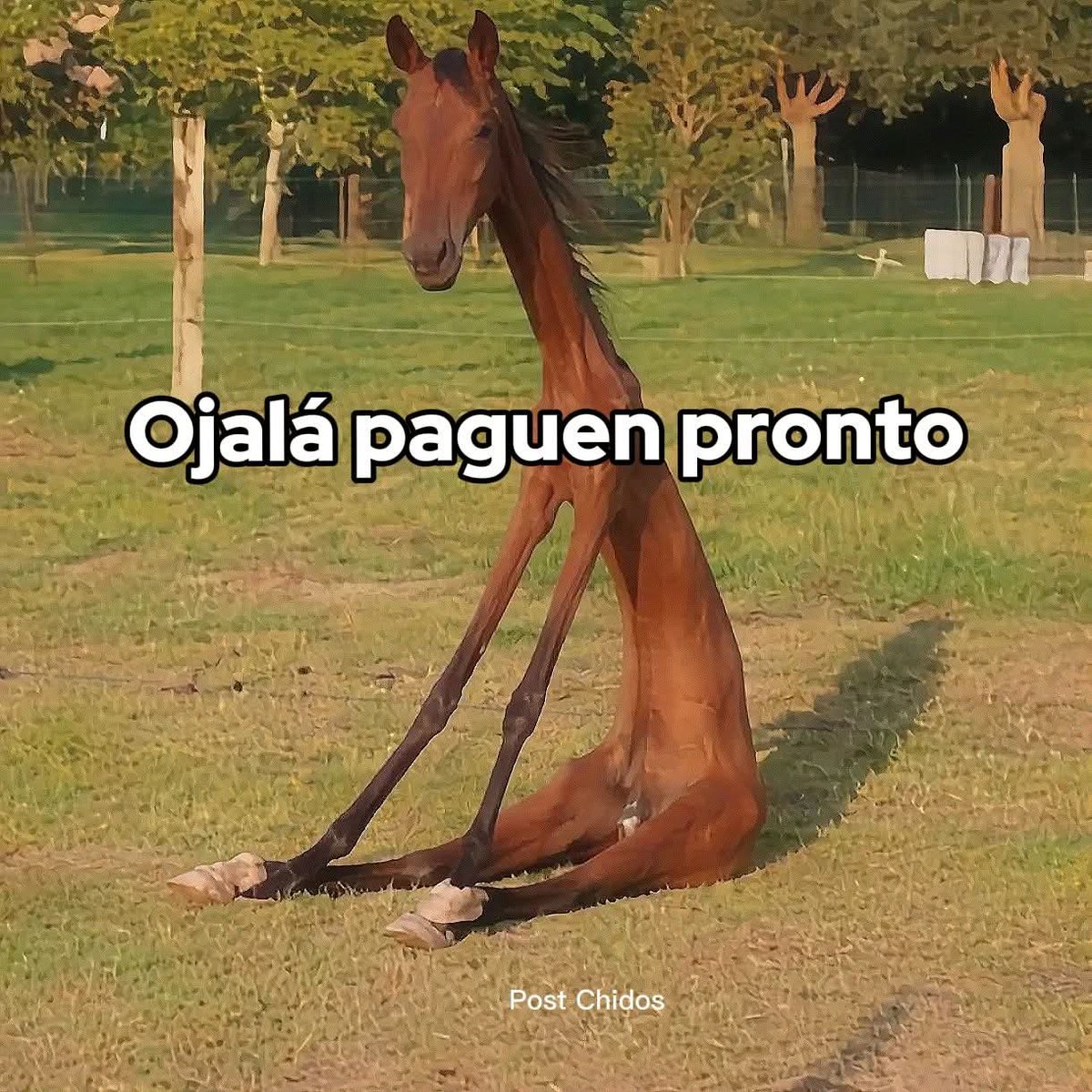 En Júpiter tweet media