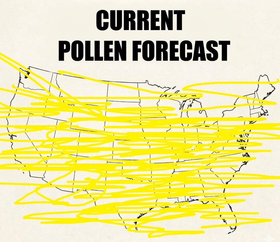 Matt Devitt tweet media