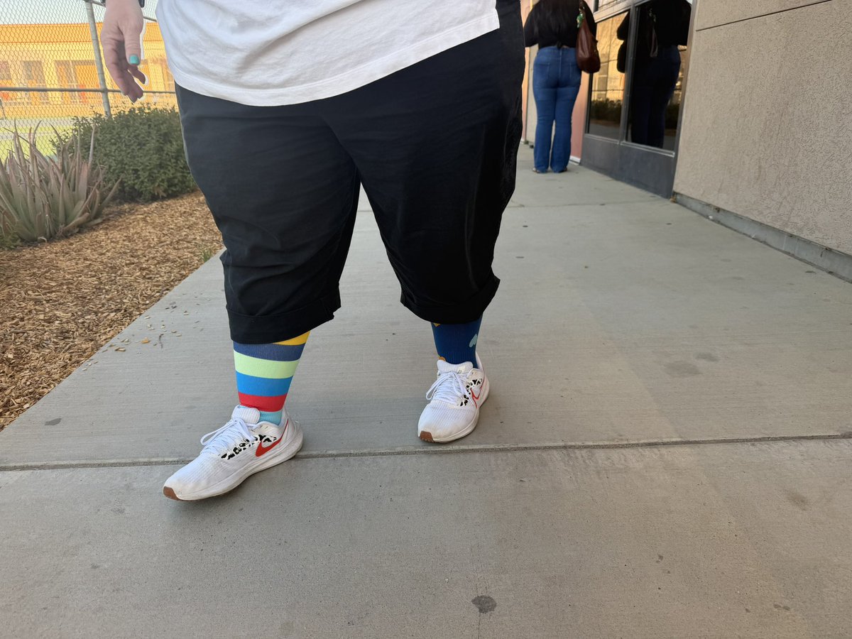 CHS HORNED TOADS tweet media