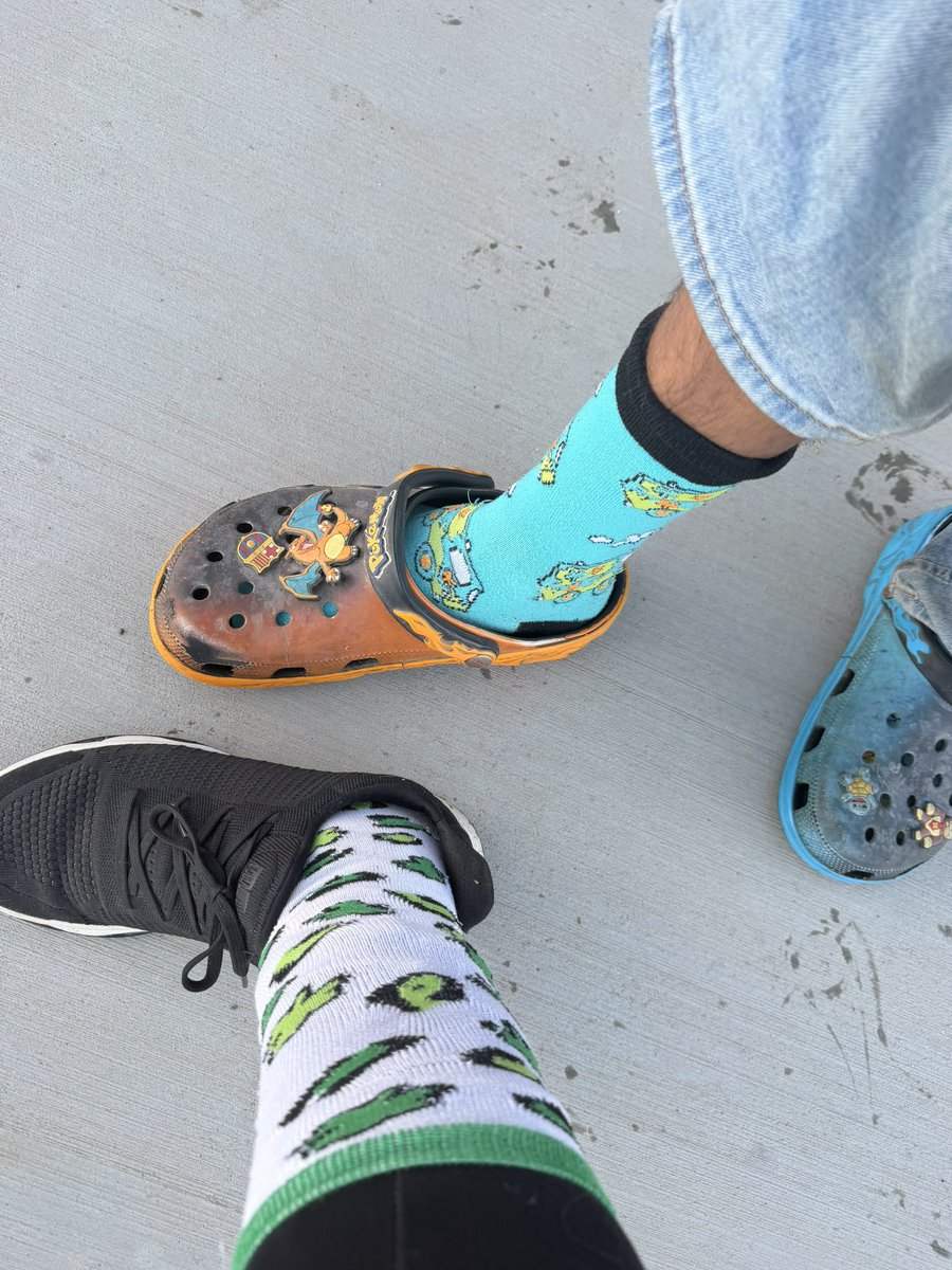 CHS HORNED TOADS tweet media