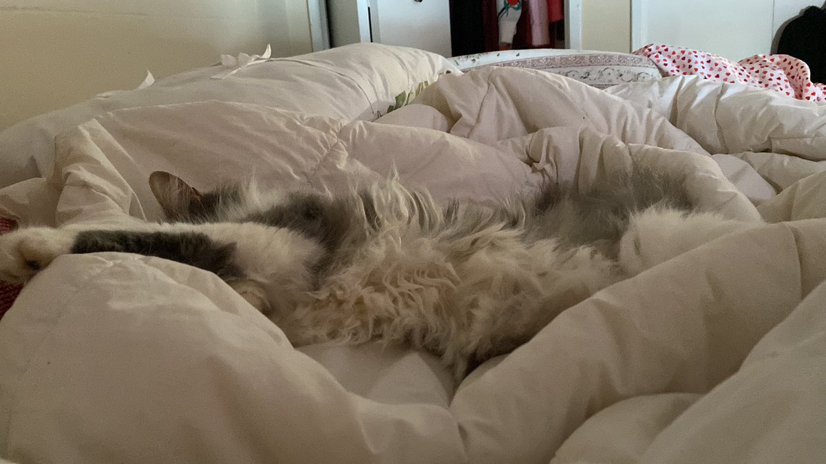 Barb McKenna tweet media