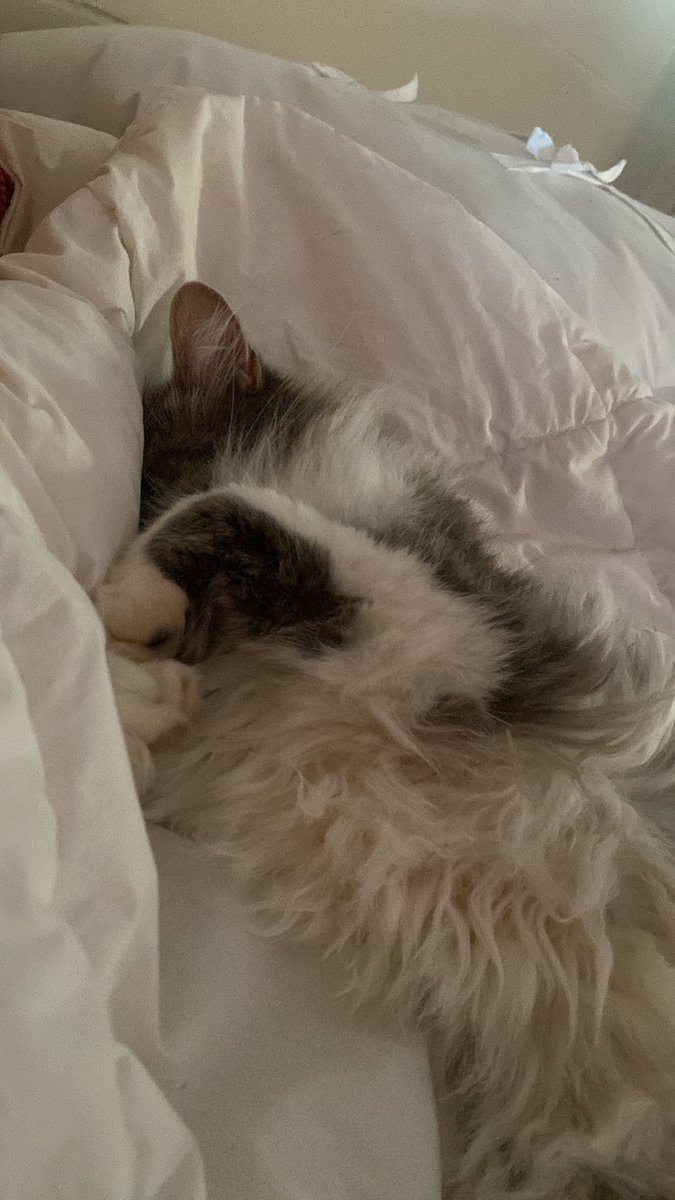 Barb McKenna tweet media