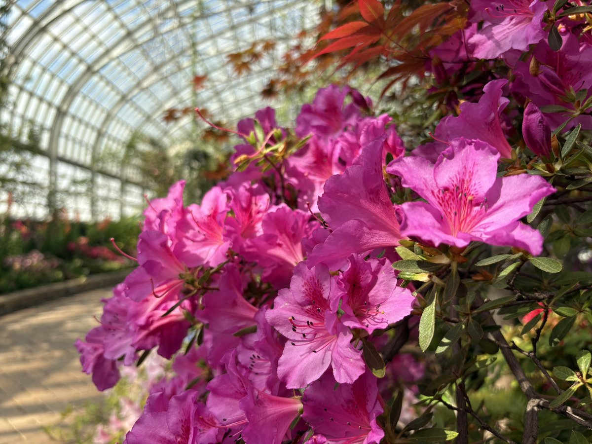 𝐿𝒾𝓈𝒶 𝐵𝑜𝓌𝓂𝒶𝓃 tweet media