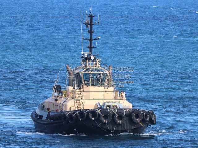 Malta Ship Photos tweet media