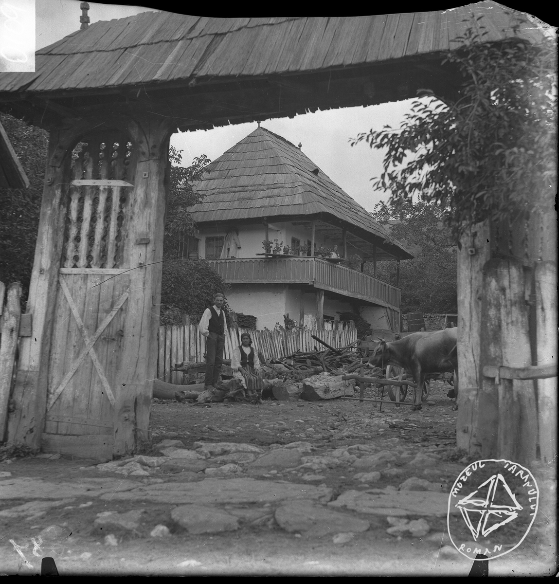 Adrian🇷🇴 tweet media