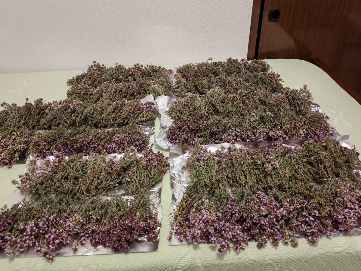 Muntanyenc76 tweet media